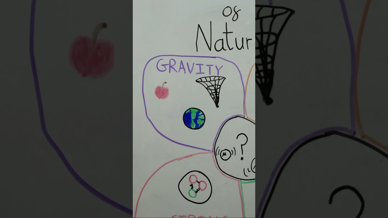 The Four Fundamental Forces Science Physics Force