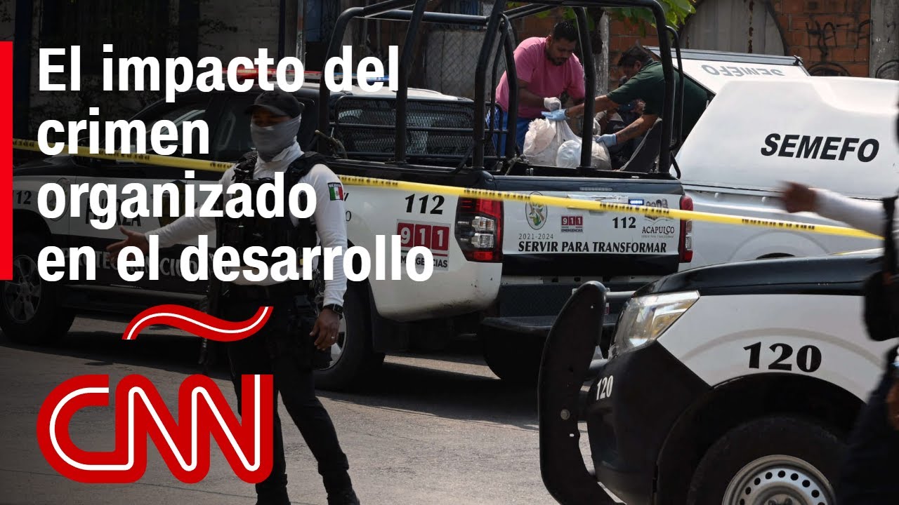 ¿Cómo afecta el crimen organizado al desarrollo y la educación? - YouTube
