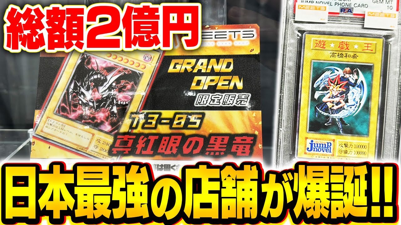 【総額2億円】日本一の品揃え！？秋葉原で新規オープンした店の本気がヤバすぎる！！