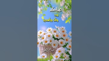 دعاء الصباح#دعاء #دعاء_الصباح #اذكار_الصباح #اكسبلور #اسلاميات #رعد_الكردي