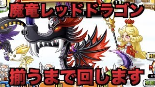 【城ドラ】新アバたま魔竜装備『レッドドラゴン』全て揃うまで回し続ける【YASU城とドラゴン】