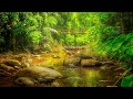 เสียงน้ำไหล เสียงธรรมชาติกล่อมนอน - White Noise, Sound of water flowing Nature sounds, Calming Sound