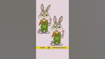 Find four differences,#611 #quiz