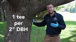 Treating Trees Larger than 20 inches with the Q-Connect