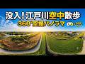 【360°空撮パノラマ】Avata360で撮る!江戸川空中散歩!江戸川河川敷【圧倒的没入感】