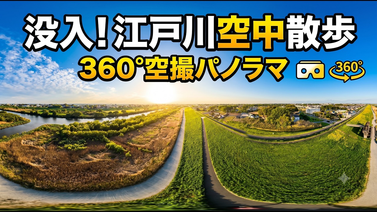 【360°空撮パノラマ】Avata360で撮る!江戸川空中散歩!江戸川河川敷【圧倒的没入感】