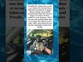 Angebunden gefunden, für immer geliebt