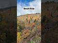 Leaf peeping on the #blueridgeparkway #northcarolina #westernnc #fallishere #letsgohiking