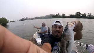 Fishing the C.A. delta prospect slough for stripers stripped bass 8-19-2021