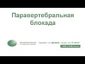 Блокада уколами поясницу. Блокада при межпозвоночной грыже. Блокада позвоночника при грыже. Блокада грыжи поясничного отдела позвоночника.