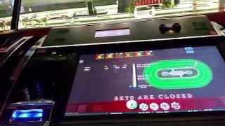 Royal Derby Horse Racing New Slot Machine screenshot 5
