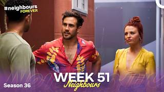WEEK 51 | Episodes 8516-8520 | Neighbours 2020 (Season 36)