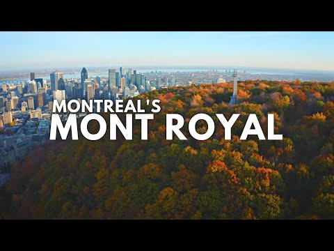 Video: Onko mont royal montreal?