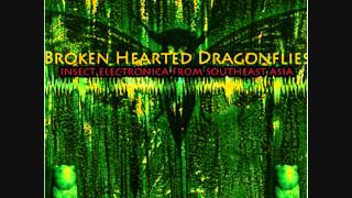 Sublime Frequencies: Brokenhearted Dragonflies: Insect Electronica From Southeast Asia