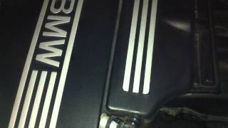 IMG 0219