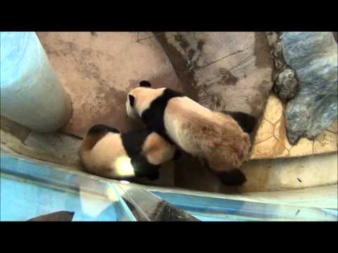 201312海浜陽浜ウロウロ