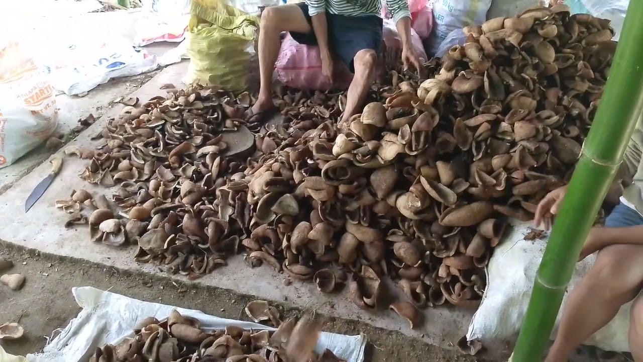 Start Something, Start Small & Gradually Expand Your Business !