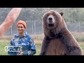 Face-to-Face with an 800-lb Grizzly Bear | Better Man