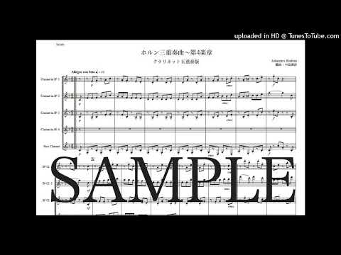 ブラームス「ホルン三重奏曲〜第4楽章」クラリネット五重奏版（編曲：中島雅彦）