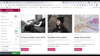 How to use widget Post Slider