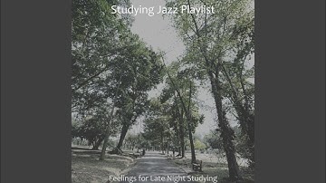 Magical Backdrops for Studying for Finals