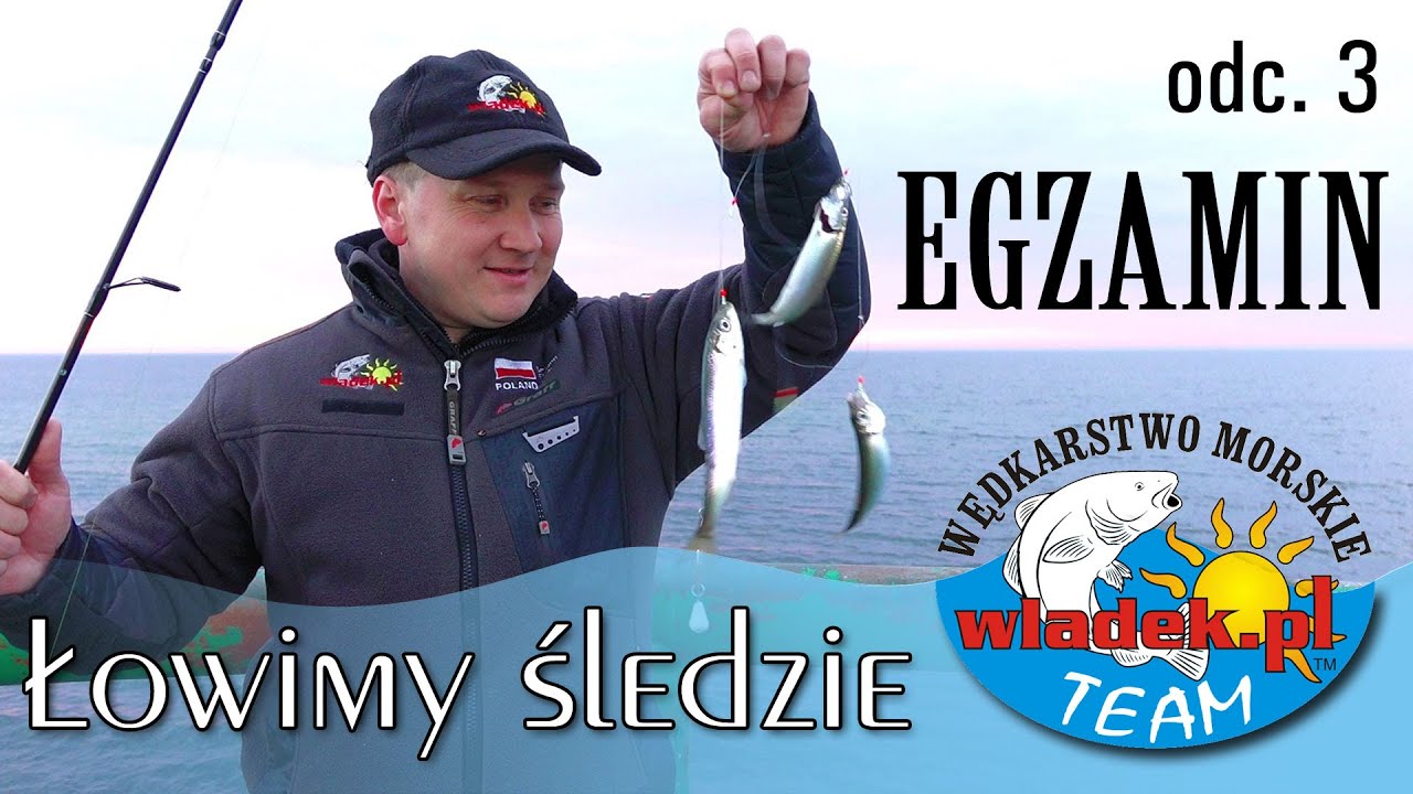 WładekTV - Łowimy ŚLEDZIE z wladek.pl TEAM - podsumowanie (odc.3)