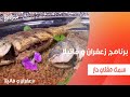 سمك مقلي حار غادة التلي 