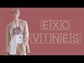 EXO vines to watch on the way to fight antis