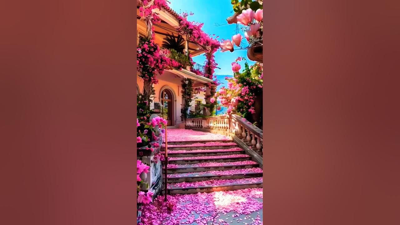 #short #garden #flowers #nature #song #love #rose #short #garden #flowers #nature #song #love #rose