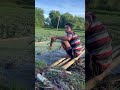 My Family Manipurfarming Watermemosa 