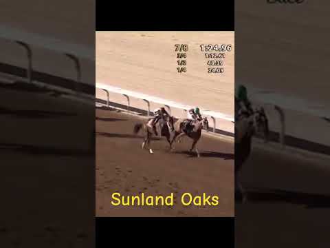 Sunland Oaks. Recharge would not give in to Candy Aisle with the game win at Sunland Park