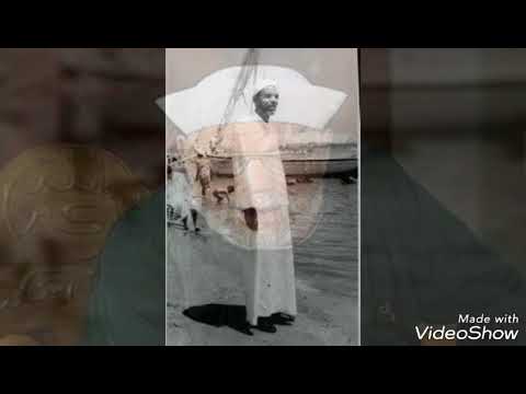 امين امين الشيخ شعراوى امام الدعاة