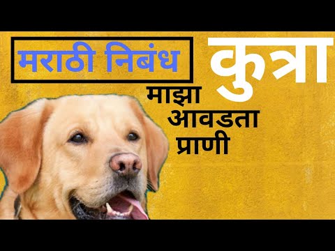 essay on dog in marathi