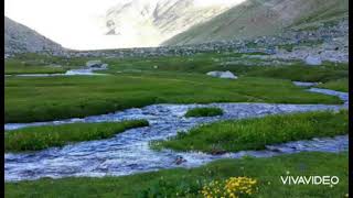 🌟Asi̇ye Demi̇r 🌟Sen Sevdamiza Bi̇tti̇ Demi̇şsin Türküsü🎤📣🎤📣🌟 Resimi