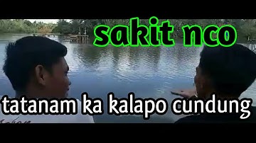 #trending #part2 Tatanam Kalapo cundung