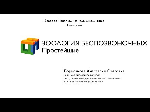 Биология.  Борисанова А. О.  Зоология беcпозвоночных.  Простейшие