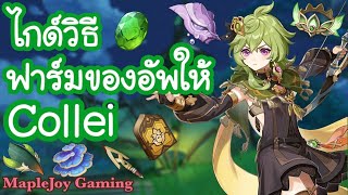 [Genshin Impact] ไกด์วิธี ฟาร์มของอัพให้ Collei | อัพเลเวลตัวละคร+พรสวรรค์ | @MapleJoyGaming