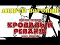 Андрей Воронин. Кровавый реванш 3