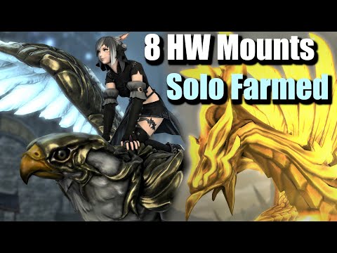 8 More Mounts