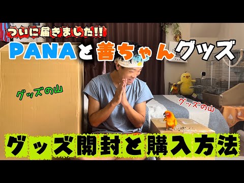 Finally!! PANA and Zen-chan merchandise has arrived 🦜 How to