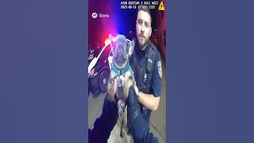 Let Pibble have his bath?!? 🥀😱 #ai #aishorts #soraai #pibble #memes #aiinfluencers #aivideo