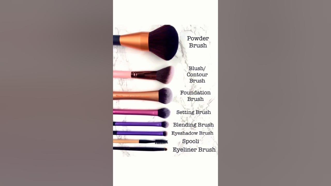 Makeup brushes names🖌️ youtubeshorts shots shortvideo youtube 