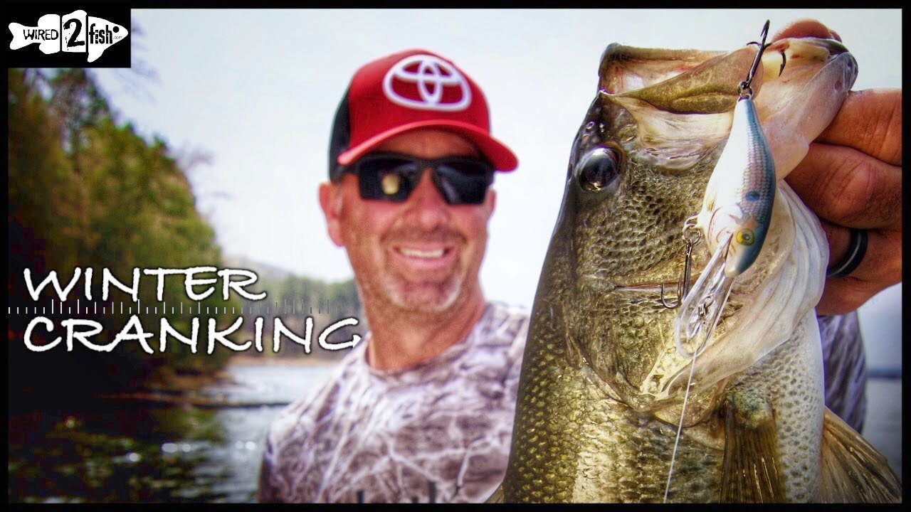 Основы ловли окуня зимой на приманки Shad Rap