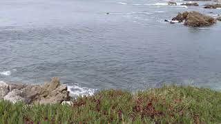 Joseph Murphy Prayers for Eyes and Ears - Macular Degeneration Meditation