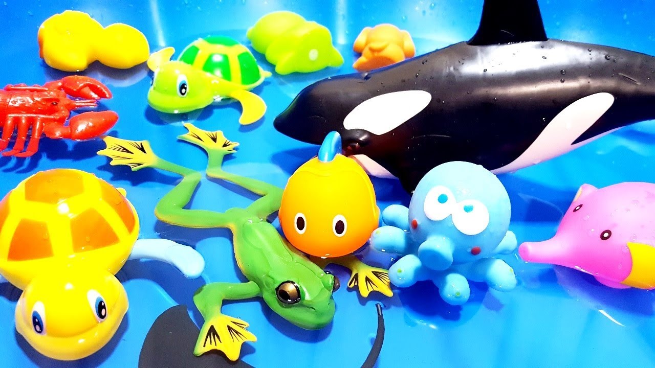 Learn Colors With Wild Animals in Blue Pool Shark Toys For Kids - YouTube