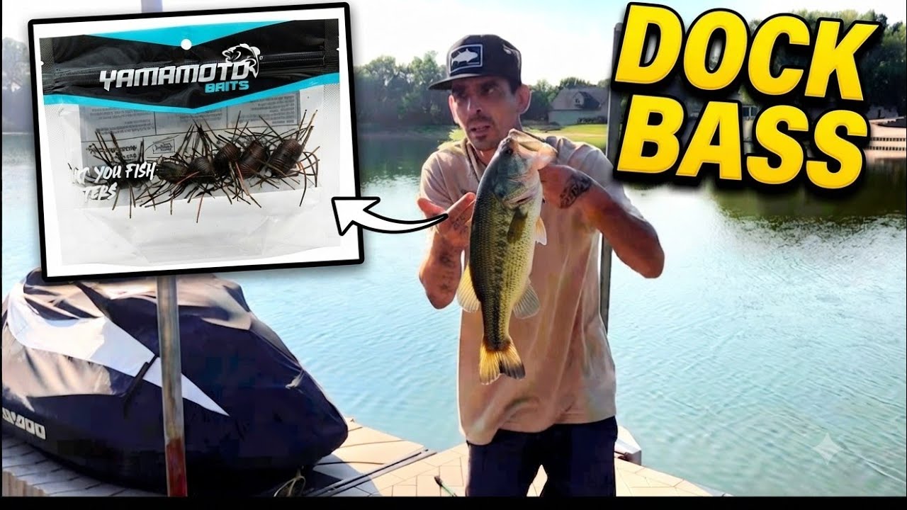 I Switched to This Bait, And Everything Changed