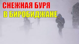 Мощная снежная буря обрушилась на Еврейскую АО, города опустели, хаос на дорогах, сугробы по крыши