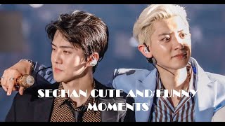 SECHAN CUTE AND FUNNY MOMENTS!!