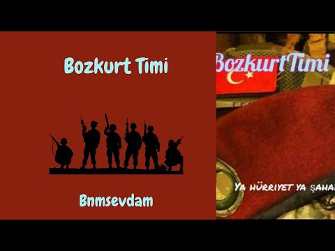 Bozkurt Timi - 1. Bölüm