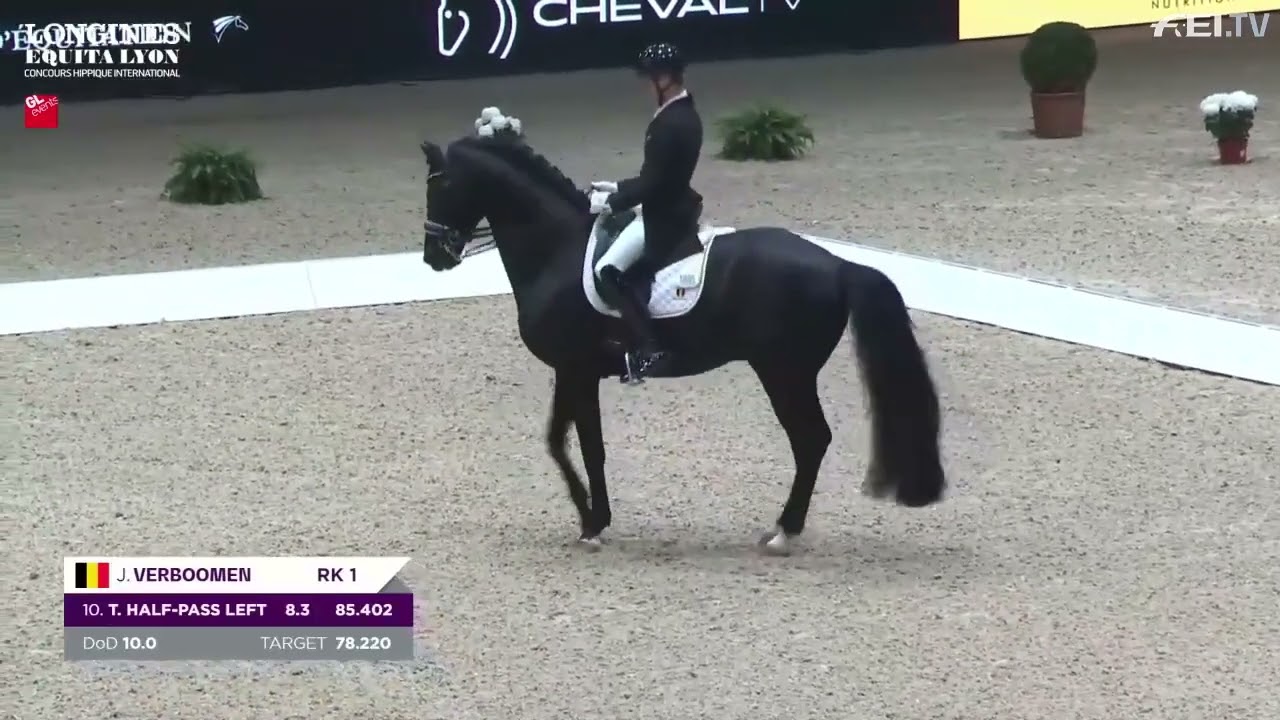 Hannoveraner Sport: Zonik Plus (Rhld.)